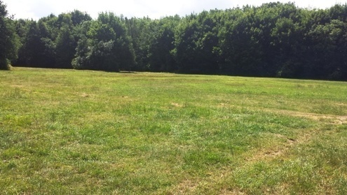 debata lasek zlotoryjski